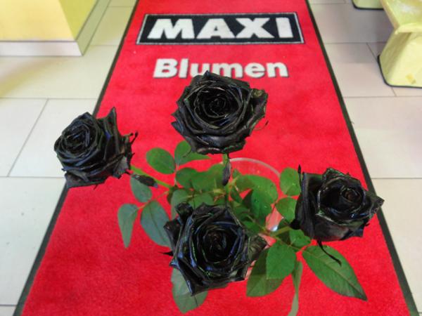 Bild 2 von MAXI Blumen
