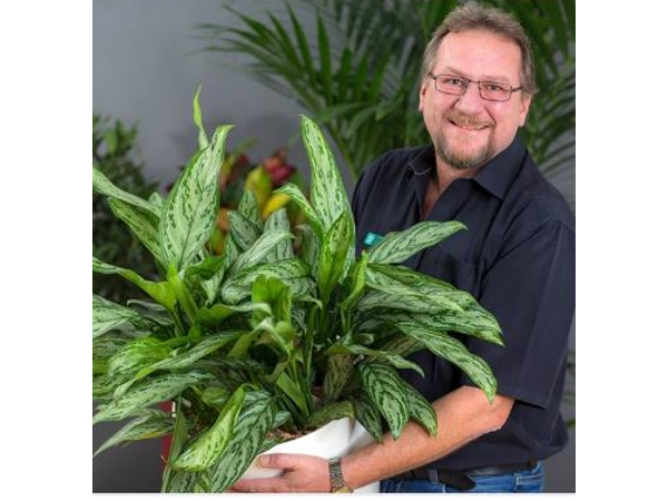 Bild 13 von Blumen Brommer KG - Fleurop Service