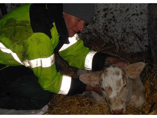 Bild 2 von Tierambulatorium Schramm Herbert Dr Magvetmed Magrernat - Tierarzt und Biologe (Zoologe)