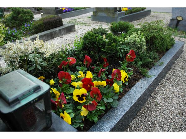 Bild 4 von Blumen Bauchinger GmbH