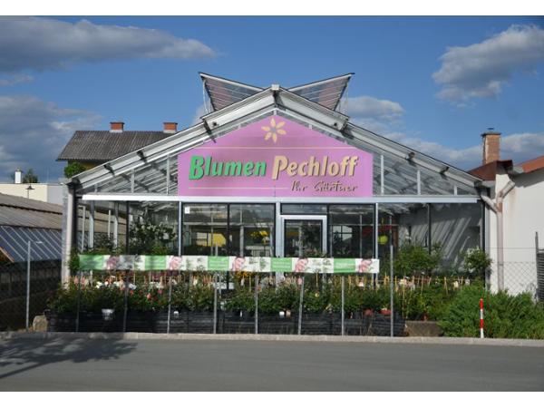 Bild 1 von Blumen Pechloff