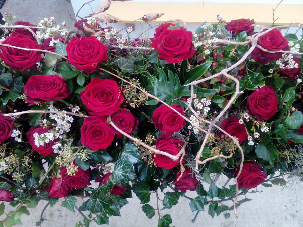 Bild 15 von Gärtnerei & Blumenstube - Maierhofer