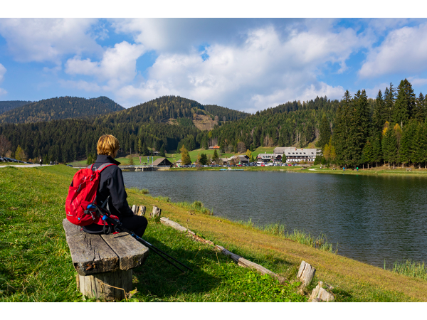 Bild 3 von Almgasthof Hotel Teichwirt