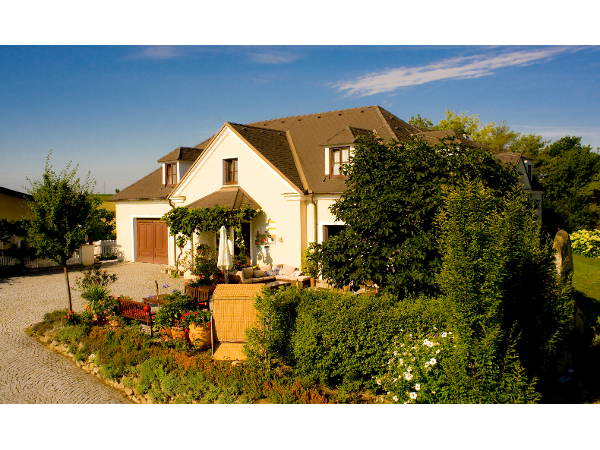 Bild 10 von WEINGUT NORBERT BAUER