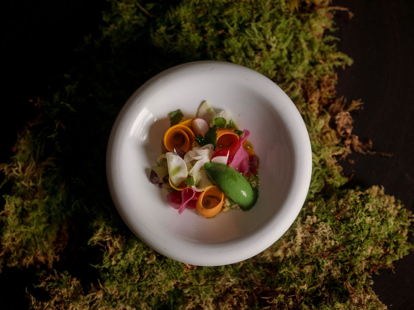 Bild 14 von Naturhotel Forsthofgut