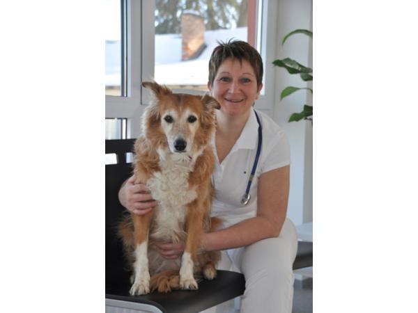 Bild 2 von Dr. Josefine Zisser