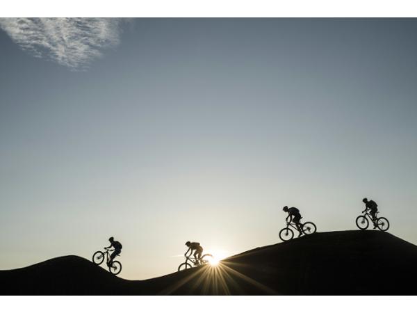 Bild 14 von Friesi's Bikery