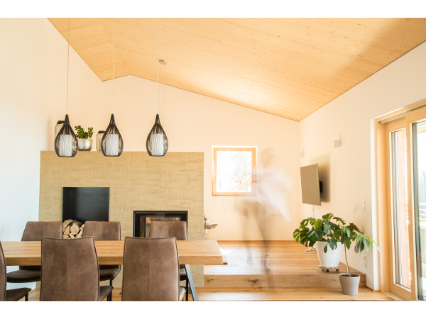 Bild 22 von Fussenegger Holzbau GmbH