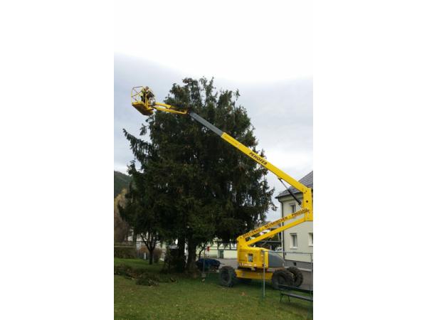 Bild 20 von Dobler's Hausservice