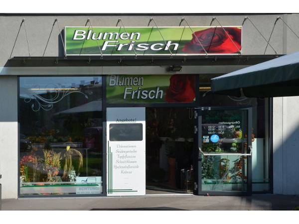 Bild 1 von Blumen Frisch Brigitte Pusam