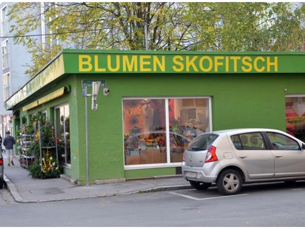 Bild 1 von Blumen Skofitsch HandelsgmbH