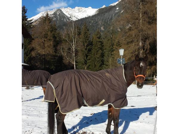 Bild 1 von Tip-Top Reinigung