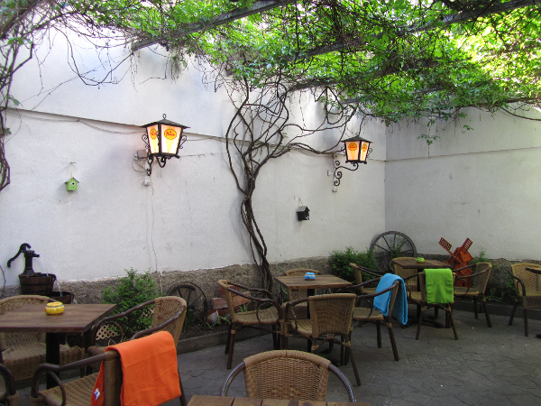Bild 17 von Old Lemon Tree
