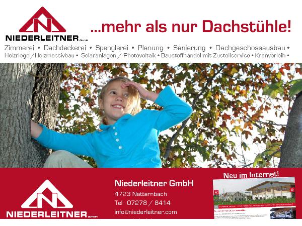 Bild 1 von Niederleitner Zimmerei Dachdeckerei GmbH