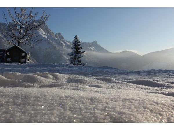 Bild 9 von Krinnenalpe, Martin Rief