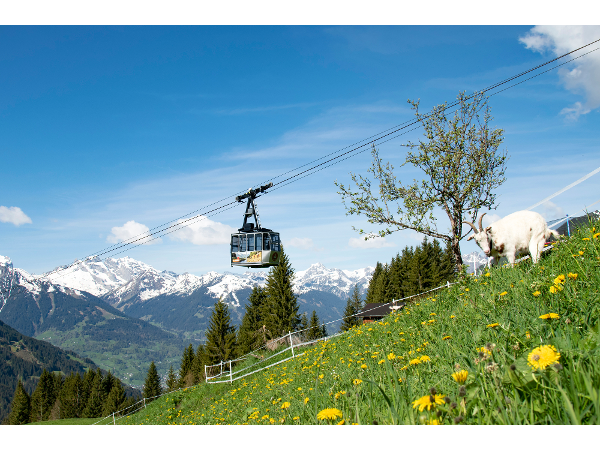 Bild 41 von Montafoner Kristbergbahn Silbertal GmbH