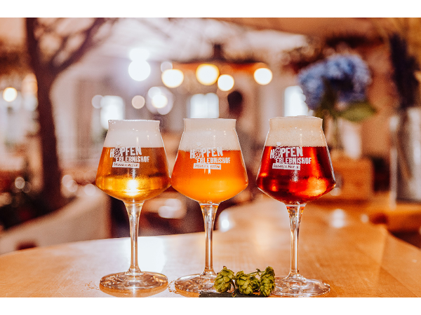 Bild 8 von Abstellplatz am Hopfenerlebnishof