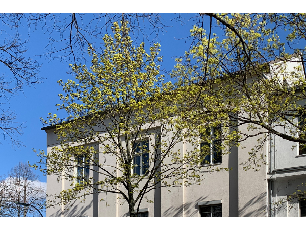 Bild 1 von Discover DX GmbH