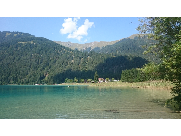 Bild 17 von Blumenhof Elfi , Urlaub am Bauernhof Fam. Mazzarella-Kerschbaumer