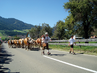 Gemeindeamt der Gemeinde Gaal