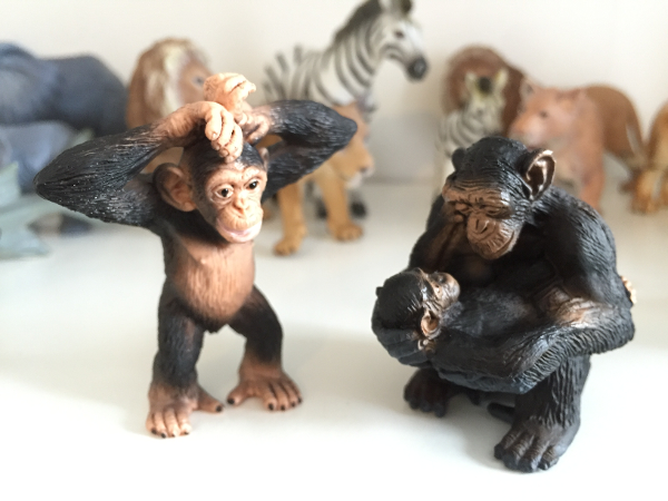 Bild 9 von Rundherum Psychologische und psychotherapeutische Gemeinschaftspraxis