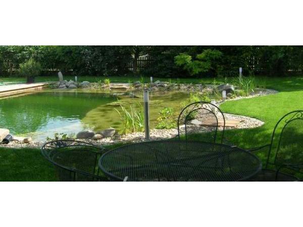 Bild 14 von Schwimmteich & Gartengestaltung Matheis KG