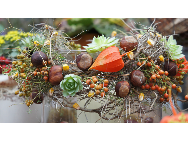Bild 161 von Gartenbau-Blumen Helmut Friedl