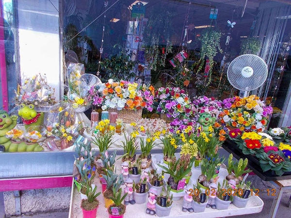 Bild 5 von Blumenhandlung Walter Moser