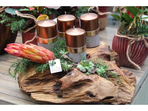 Bild 58 von Gartenbau-Blumen Helmut Friedl