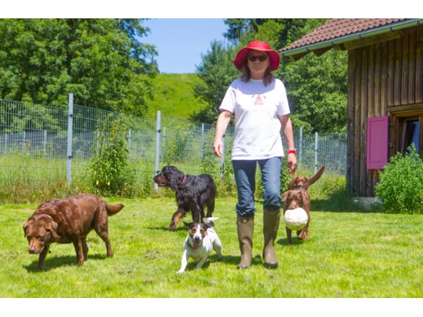 Bild 21 von Ferienhof Iris für Hunde