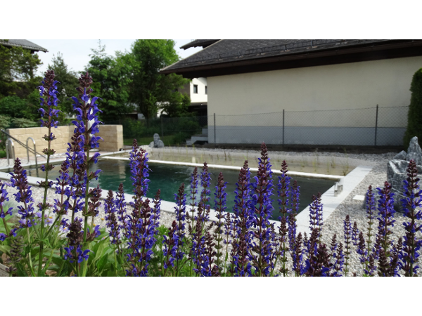 Bild 10 von Retzinger Peter Gartengestaltung - Teichanlagen-Pool