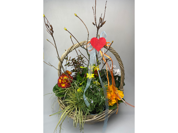 Bild 243 von Gartenbau-Blumen Helmut Friedl