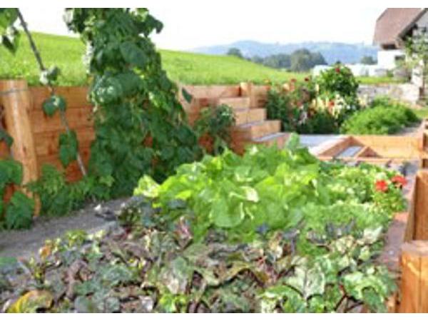 Bild 1 von Gartenmann GmbH Gartengestaltung und Pflege