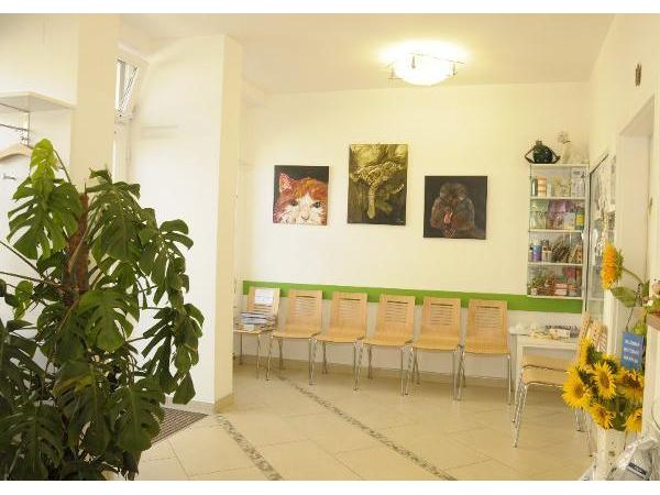 Bild 3 von Tierarztpraxis Palme