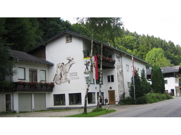 Bild 1 von Tierpräparator Höller - Zoologische Präparationen