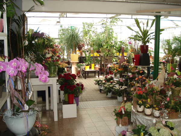 Bild 2 von Ing. Puntschart Florian