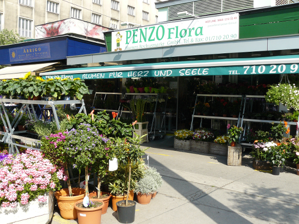 Bild 3 von PENZO Flora Flötzersteig GmbH