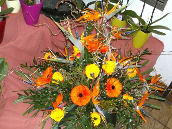 Bild 4 von Blumen Richter