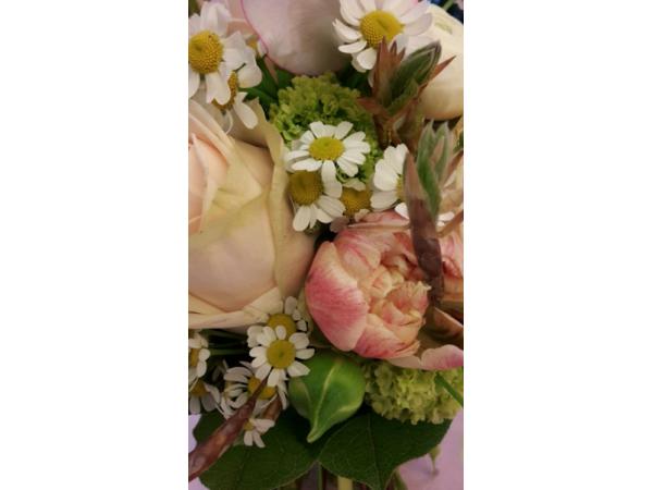 Bild 17 von Blumen Gran
