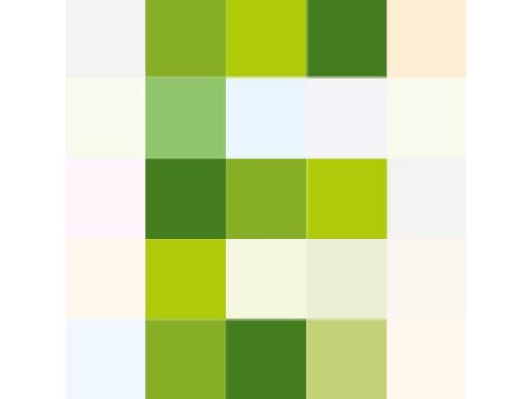 Bild 1 von E-CONOMIX Service GmbH