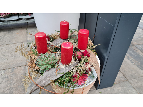 Bild 204 von Gartenbau-Blumen Helmut Friedl