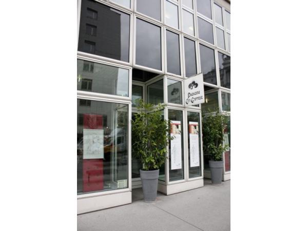 Bild 1 von Parkring City Coiffeur