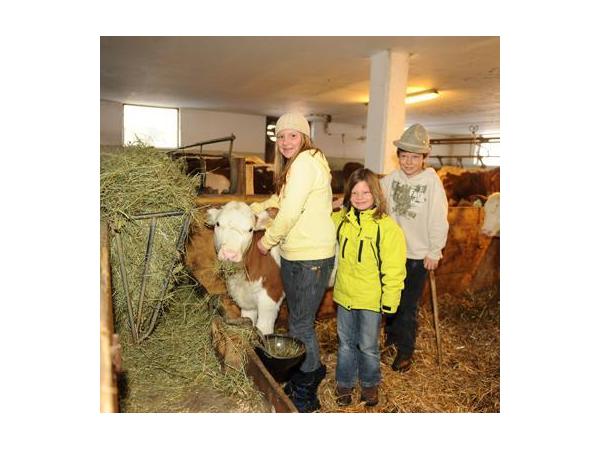 Bild 13 von Kolbbauernhof