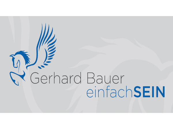Bild 1 von Ing. MBA Bauer Gerhard