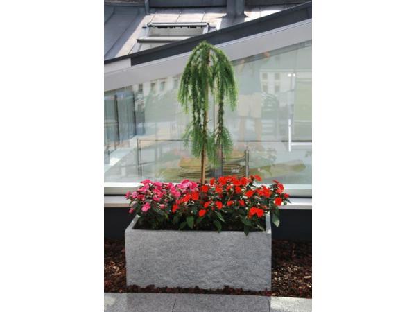 Bild 16 von Blumen und Gärtnerei Riegler GmbH