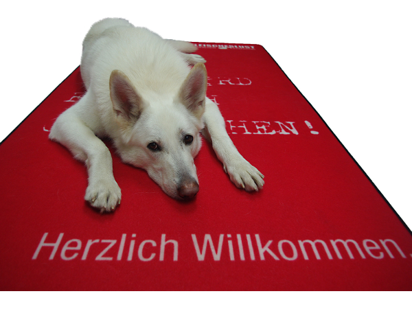 Bild 7 von Dexter's Tierbedarf - Stephanie Krügl