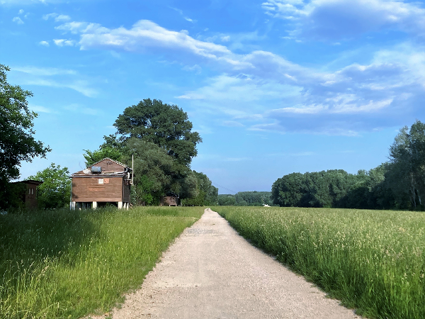 Bild 7 von pfotedrauf.at