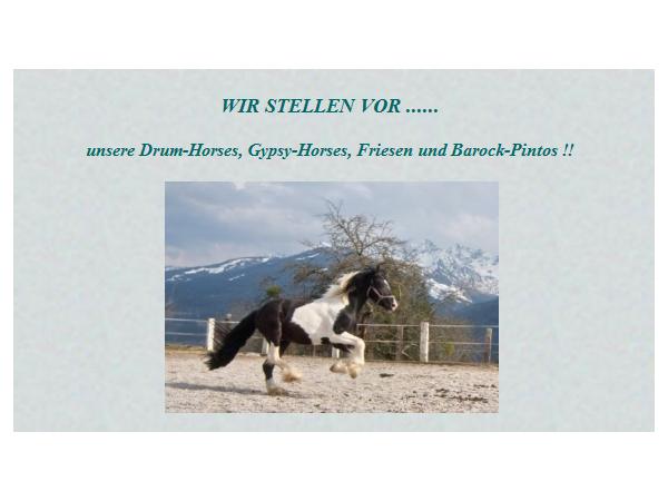Bild 4 von Reitercamp Ortnerhof, Fam. Gerhardter