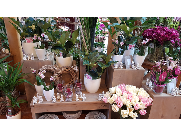 Bild 6 von Blumen Lindner GmbH