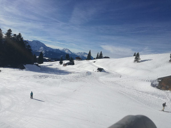 Bild 10 von Reitlhof